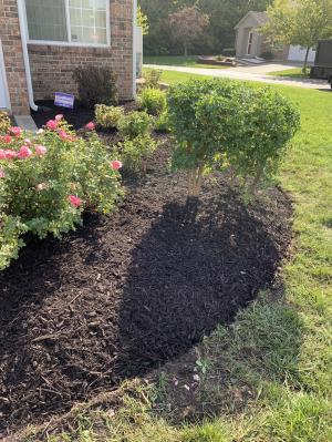 2022 Mulching Prices | Mulch Costs Per Yard & Per Bag