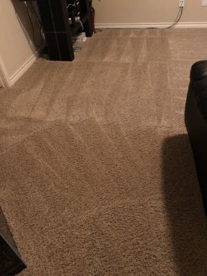 2020 Average Carpet Cleaner Cost With Price Factors