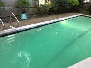 pool cleaning services cost