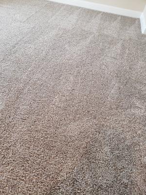 2020 Average Carpet Cleaner Cost With Price Factors